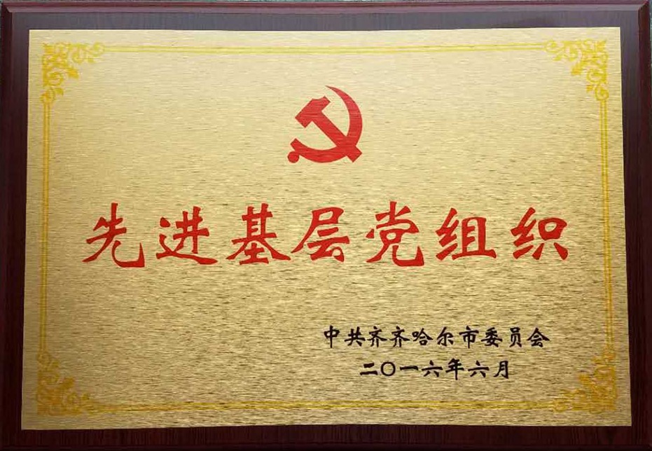2016年齊齊哈爾市先進(jìn)基層黨組織